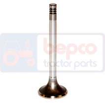 Впускной клапан двигателя Fend D226, D227 F183.200.210.080 [FENDT]